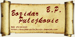 Božidar Pulejković vizit kartica